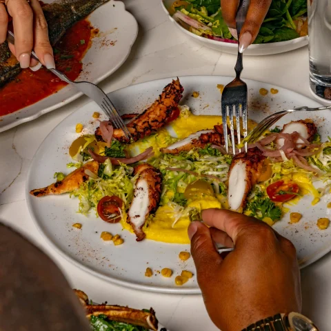 Grilled octopus plate